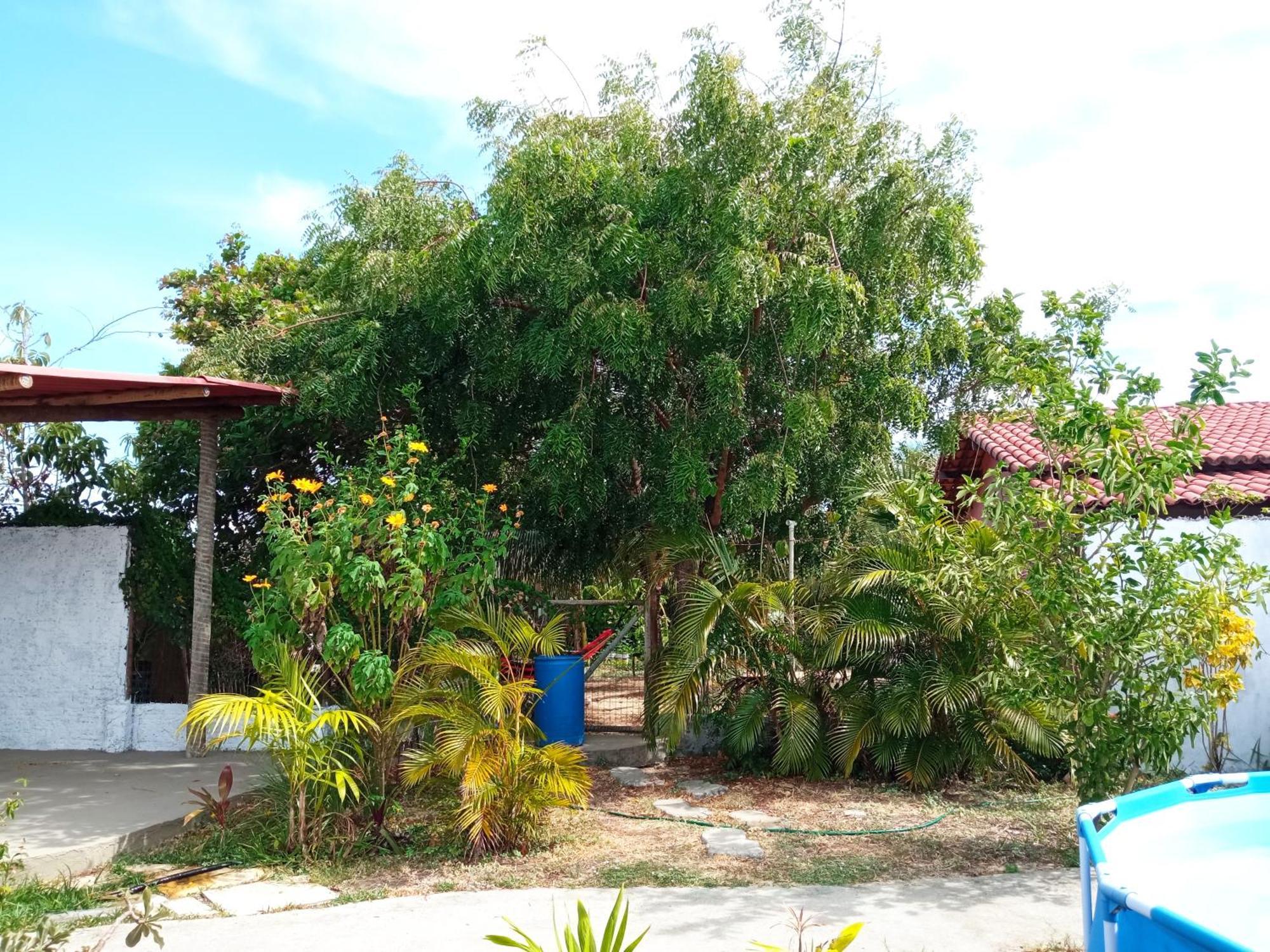 Casa Inti De Maracajau Villa Dış mekan fotoğraf